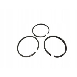 A set of piston rings for the Ursus C360 compressor