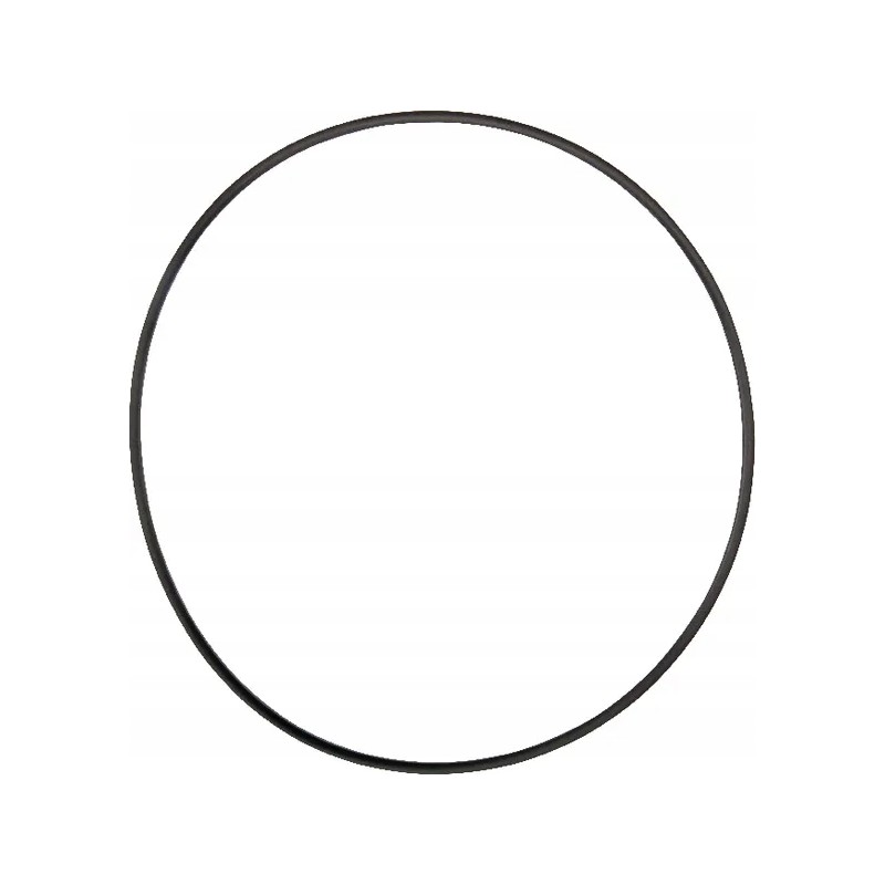 Sealing ring 1120700902