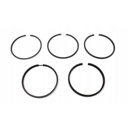 MF3 engine piston rings 5 rings
