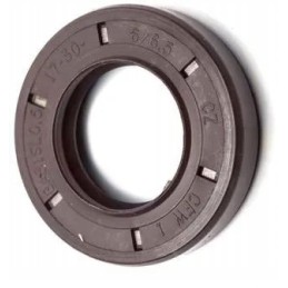 Seal bab1sl0 5 17x30x6 fkm