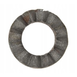 Bizon 221302 cast iron clutch disc