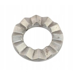 Bizon 221302 cast iron clutch disc