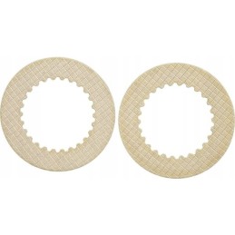 Differential disc ci113879