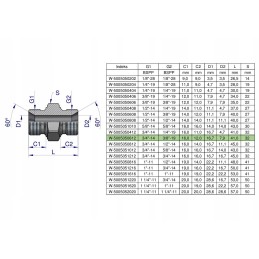 Hydraulic reducing connector 3 8 x3 4 Warynski