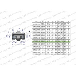 Hydraulic reducing connector 1 2 x3 4 Warynski