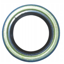 Shaft seal tecumseh fgp456676