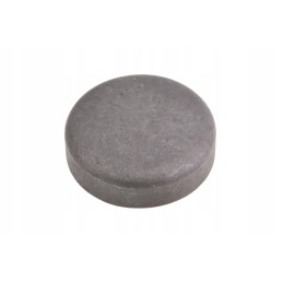 F119200210070 engine hole plug