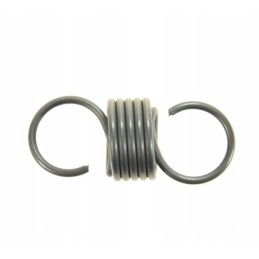 Thrust bearing spring t 25 a2521141