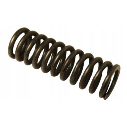 Clutch pressure spring t 25 2521103