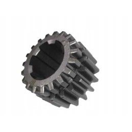 Gear wheel 19 teeth wladimirec t 25 2537155