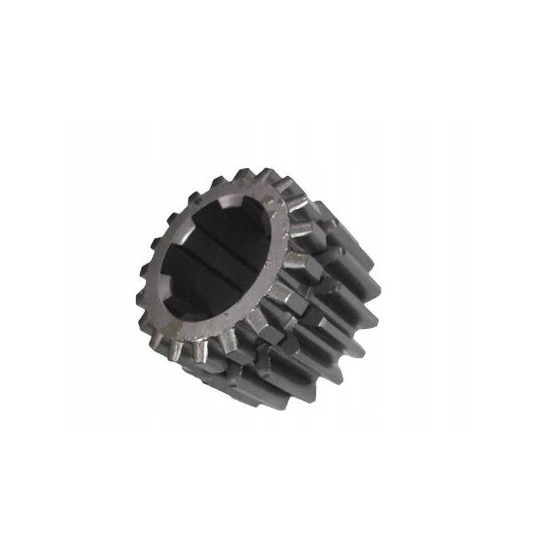 Gear wheel 19 teeth wladimirec t 25 2537155