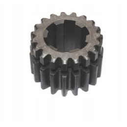 Gear wheel 19 teeth wladimirec t 25 2537155