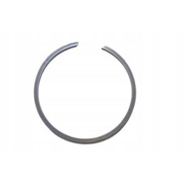Spring tooth ring New Holland Case 5117076