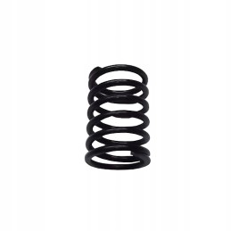 External valve spring Zetor 78005018