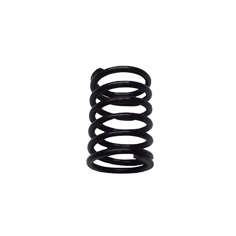 External valve spring Zetor 78005018