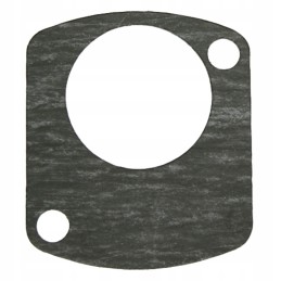 Seal 16861011020 fendt massey ferguson