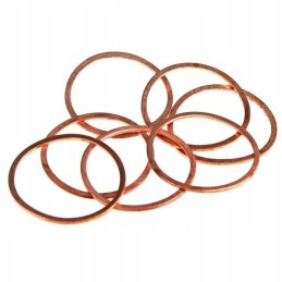 Copper washer injector ursus c360 22x26x1