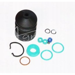 Ham case pump repair kit