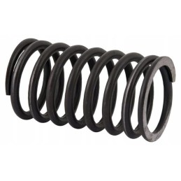 Inner head valve spring c 385 89005502n