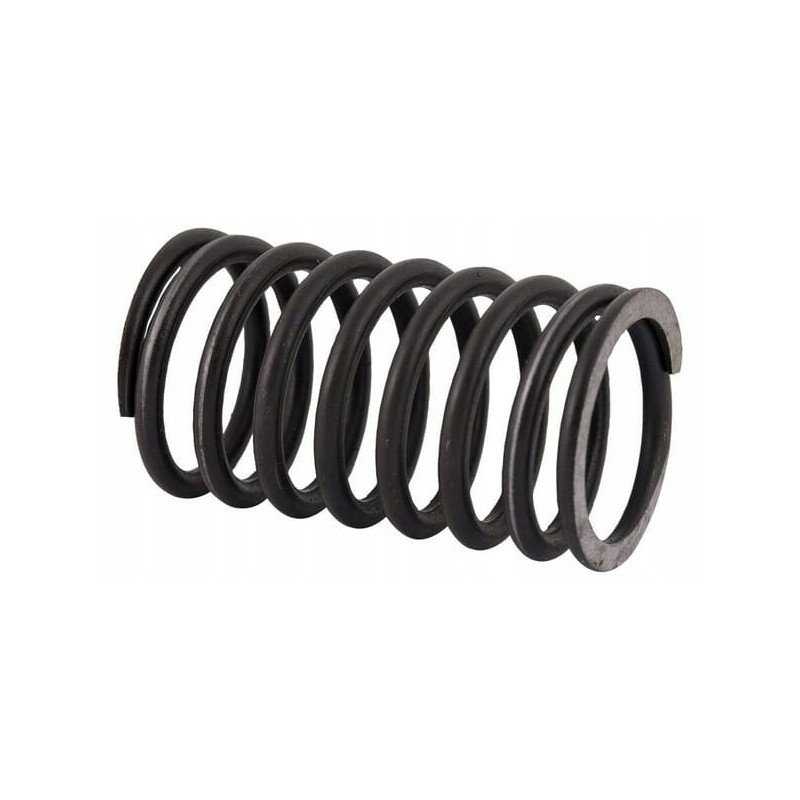 Inner head valve spring c 385 89005502n