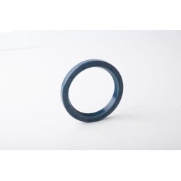 Oil seal ci025246