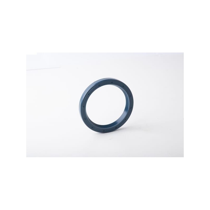 Oil seal ci025246