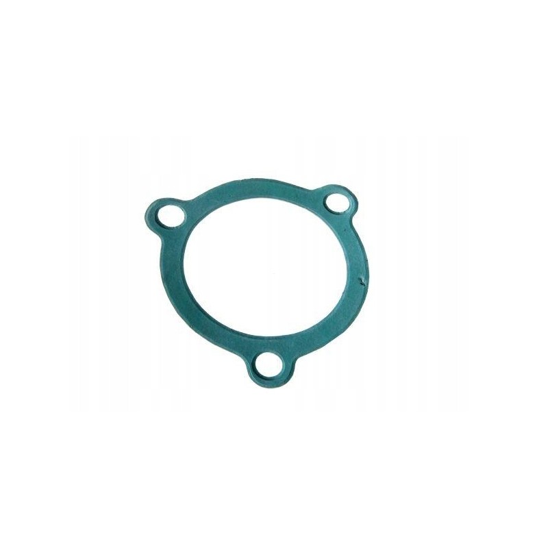 Thermostat gasket c 330