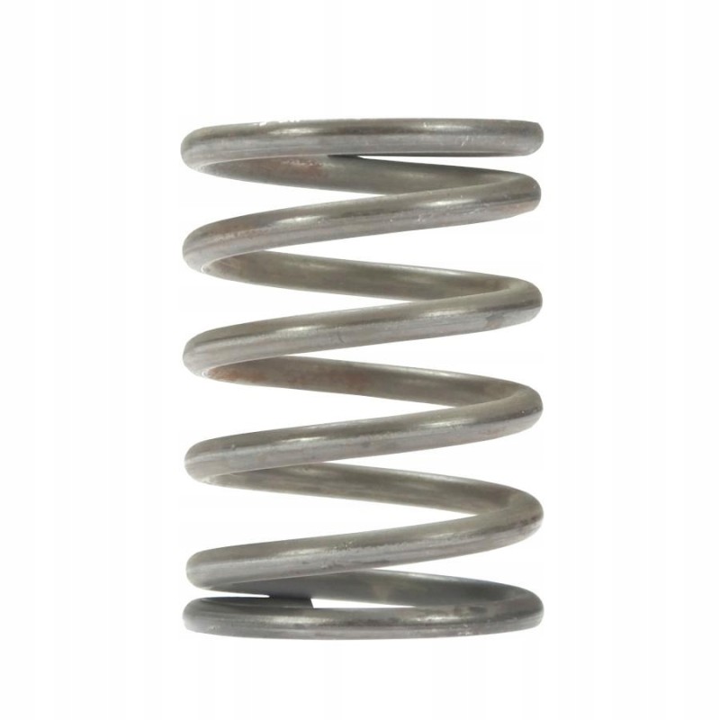 Outer valve spring c 385