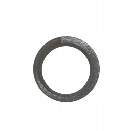 Outer valve spring c 385