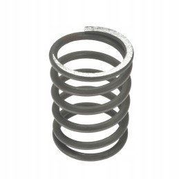 Outer valve spring c 385