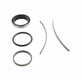 Set of seal rings mf 3900423m91 jag