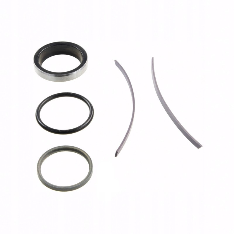 Set of seal rings mf 3900423m91 jag