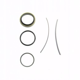 Set of seal rings mf 3900423m91 jag