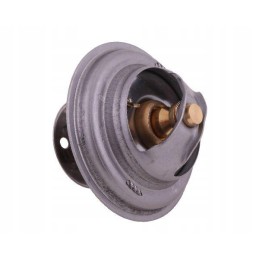 Thermostat 4224639m1 landini polmo