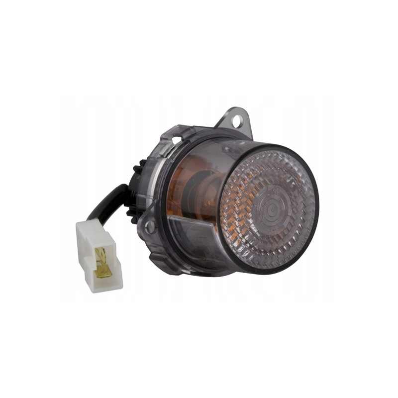 Rear turn signal fi55