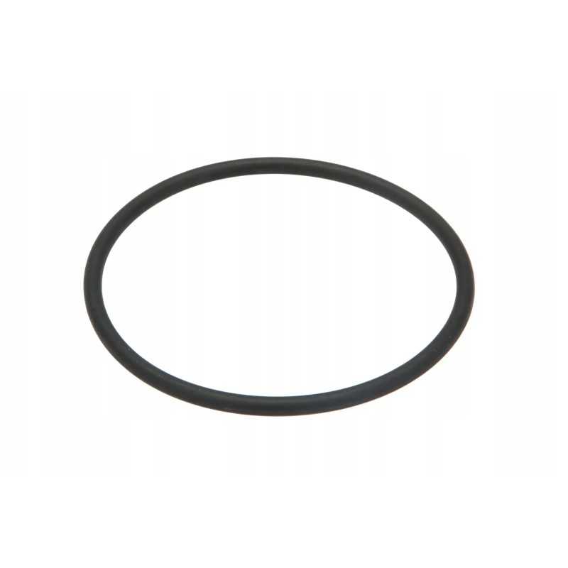 C036647 O-ring of the hydraulic filter holder