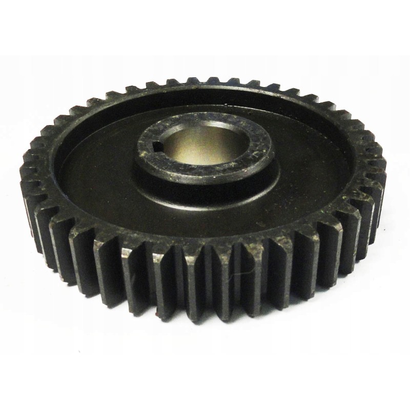 Gear wheel with 42 neptune