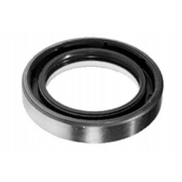 Oil seal vpj2917