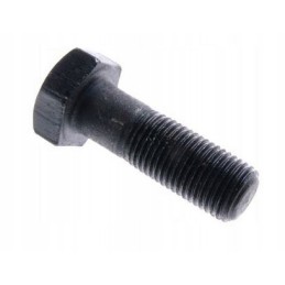 Flywheel bolt c 330 50005580