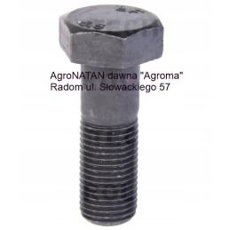 Flywheel bolt c 330 50005580