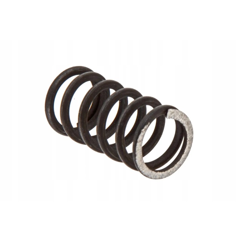 3813142m1 clutch basket spring