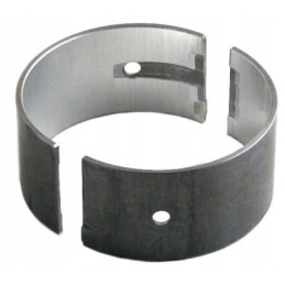 Connecting rod bearings cnh 3136203r11 case