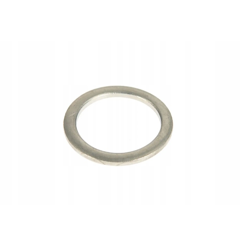 F731200510060 oil plug seal 18 x 24 mm