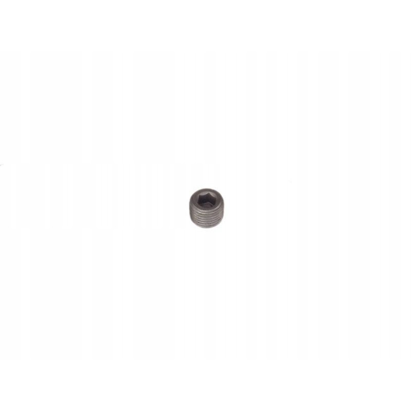 C 385 crankshaft plug small 50005590