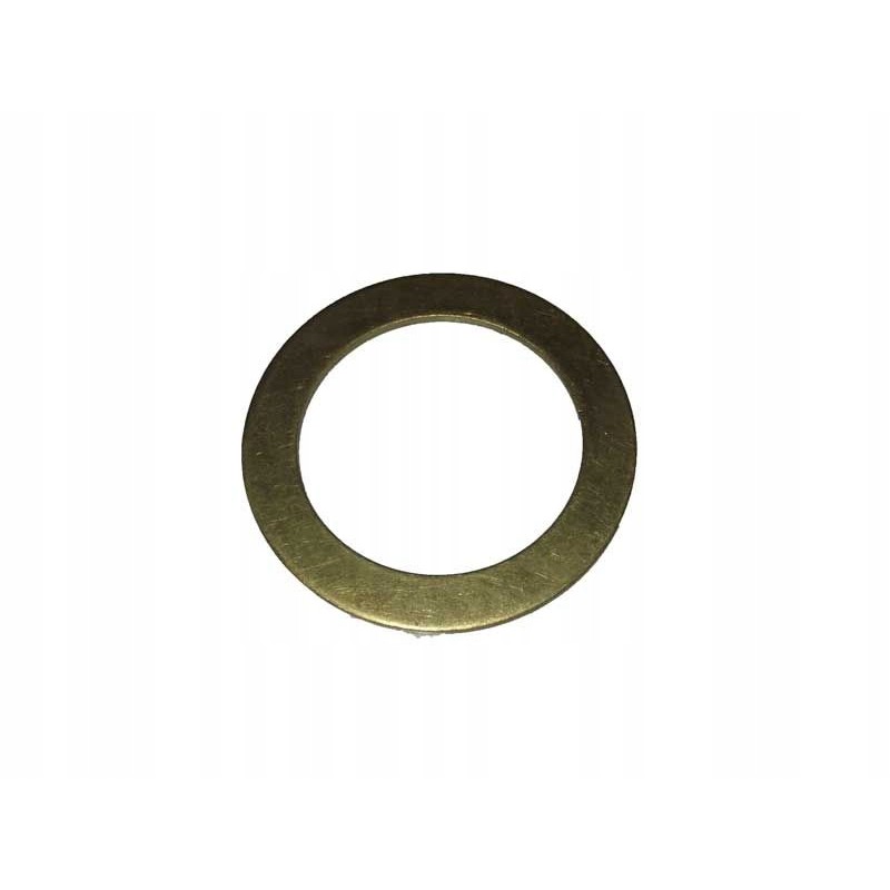 Timing sprocket washer mtz 501006253