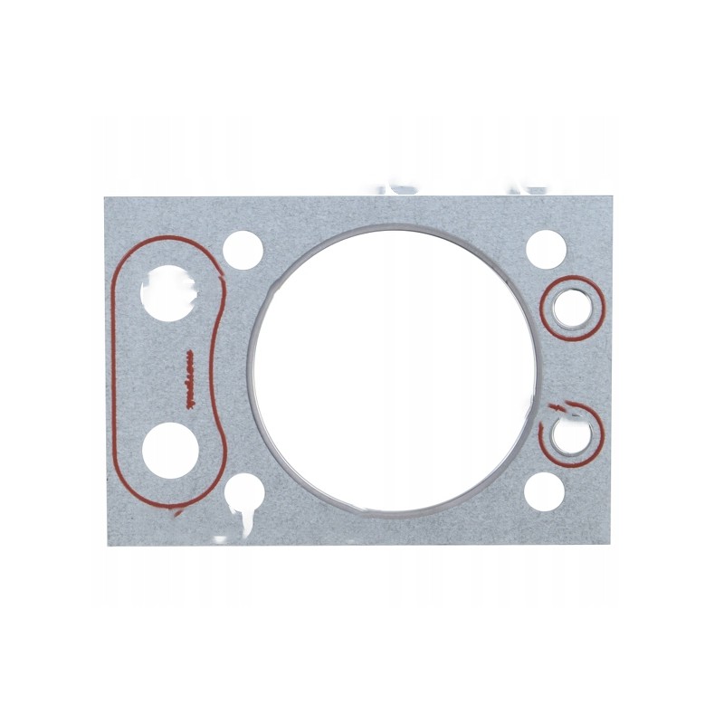 Head gasket painted for c 360 4650512001