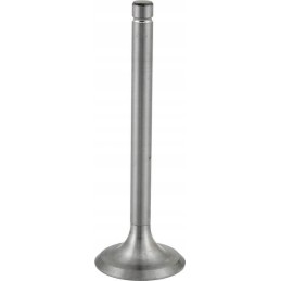 Suction valve 270069010555