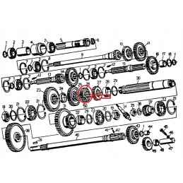 1st and 4th gear wheel with 25 speed for c 330 5001114