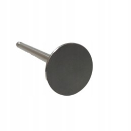 Suction valve 50505050 C 360 Paradowski