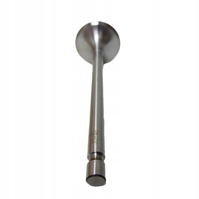 Head exhaust valve c 360 50505060 Paradowski